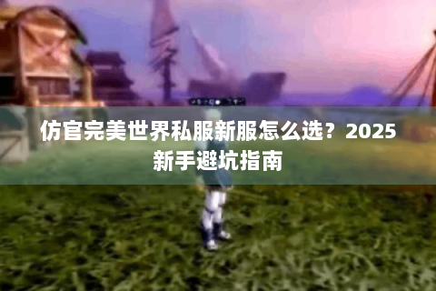 仿官完美世界私服新服怎么选？2025新手避坑指南