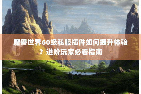 魔兽世界60级私服插件如何提升体验？进阶玩家必看指南