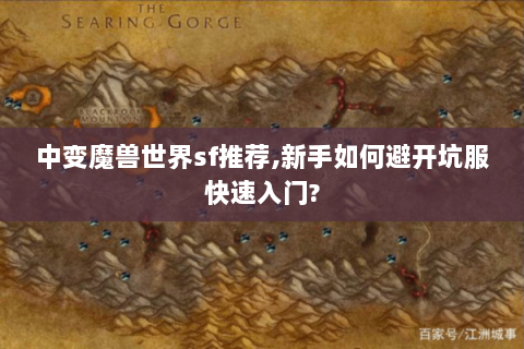 中变魔兽世界sf推荐，新手如何避开坑服快速入门？