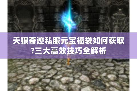 天狼奇迹私服元宝福袋如何获取?三大高效技巧全解析