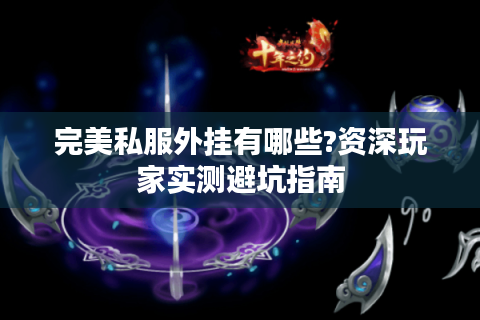 完美私服外挂有哪些?资深玩家实测避坑指南