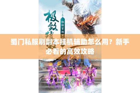 蜀门私服刷副本挂机辅助怎么用？新手必看的高效攻略