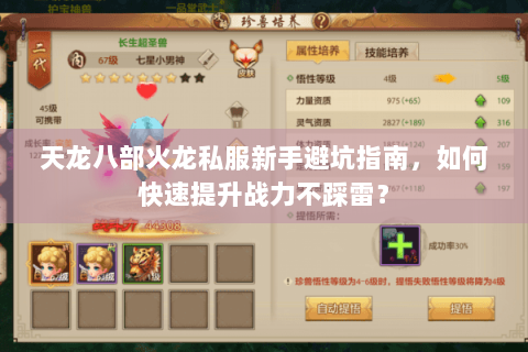 天龙八部火龙私服新手避坑指南，如何快速提升战力不踩雷？