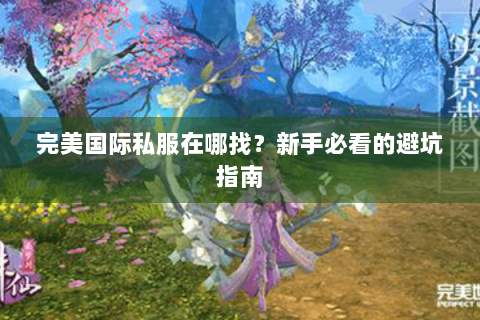 完美国际私服在哪找？新手必看的避坑指南