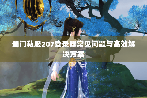 蜀门私服207登录器常见问题与高效解决方案