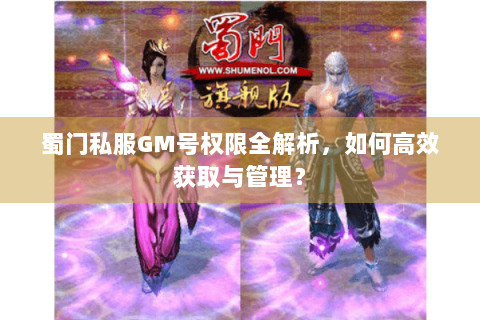 蜀门私服GM号权限全解析，如何高效获取与管理？