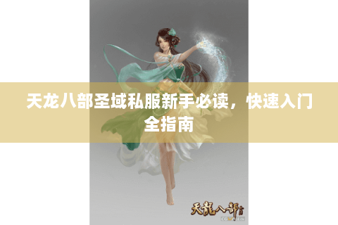 天龙八部圣域私服新手必读，快速入门全指南