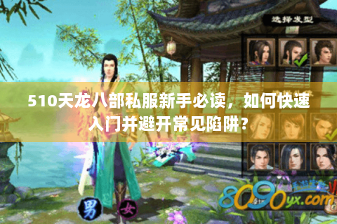 510天龙八部私服新手必读，如何快速入门并避开常见陷阱？