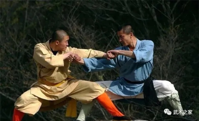 《武缘》揭秘：如何成为一代宗师？破解武术修炼难题