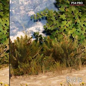 《刺客信条：影》PS4兼容性揭秘！解决你的疑问