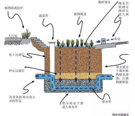 无限机兵地层水道北段沉淀池土壤位置及采集技巧