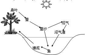 燕云十六声泥犁三垢突破素材解析，材料详览