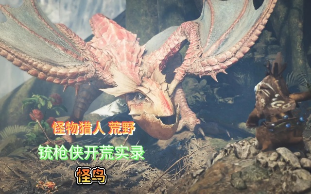 第四章主线攻略：苍龙白鸟全流程揭秘