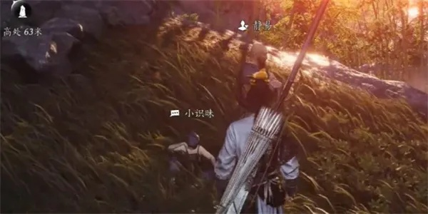 燕云十六声卫小孩结交技巧攻略