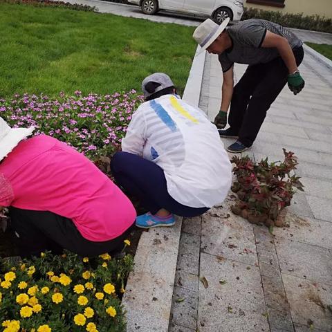 开放空间三级美食攻略大全
