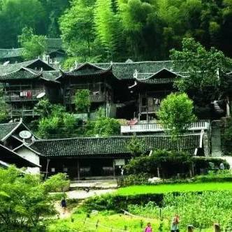 桃源记2铜钱速抢攻略：揭秘隐藏获取技巧，独家分享！