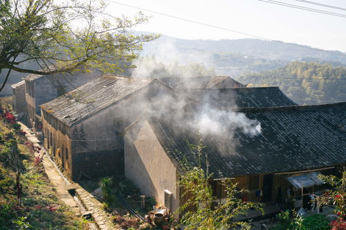 太姥村建设材料揭秘：桃源记2独家秘籍大公开！