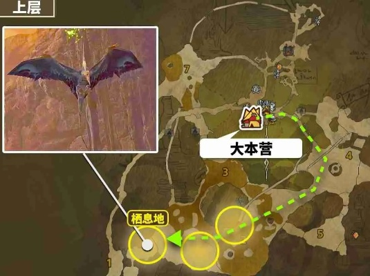 荒野翼龙挑战攻略：揭秘高效击落技巧！