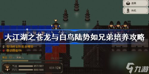 《苍龙白鸟道德飞跃：揭秘江湖提升秘籍！》