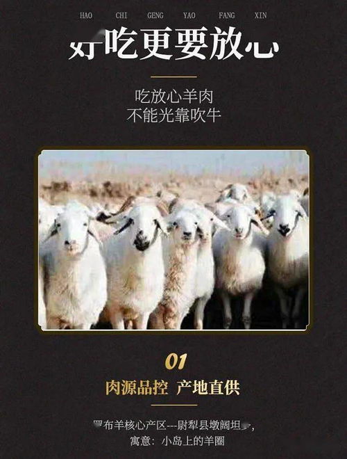 揭秘燕云十六声脂尾羊刷取绝技，一招轻松提升羊群效益！