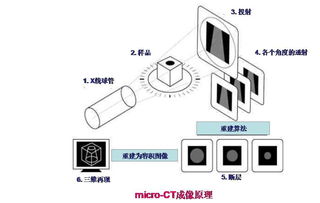 2025独家揭秘:矿物探测器新玩法,探宝达人必备神器! 2025独家揭秘:矿物探测器新玩法,探宝达人必备神器!