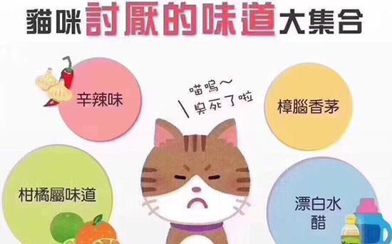 原神爱可菲永冻队攻略揭秘!独家配队秘籍大公开 原神爱可菲永冻队攻略揭秘!独家配队秘籍大公开