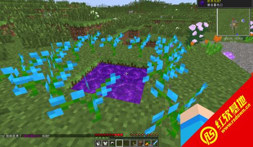 《探秘！如何在Minecraft中轻松种植发光浆果？》