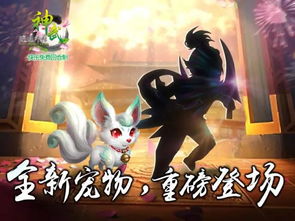 《揭秘！高手养成记：神铸宠物独家秘法大公开》