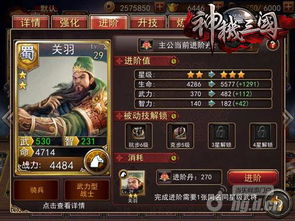 《王于兴师五星武将，揭秘隐藏实力！》