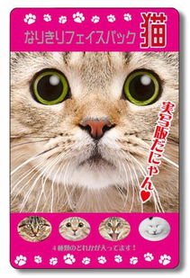 猫娘吸猫新玩法,猫之城有搞头吗? 猫娘吸猫新玩法,猫之城有搞头吗?