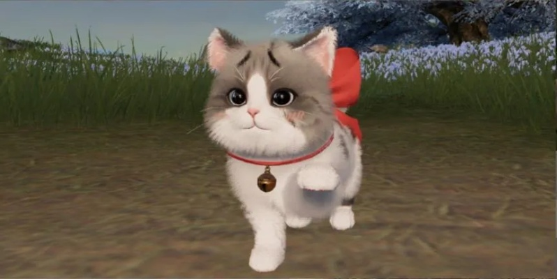 九阴真经3D萌猫骑行,新版侠客行如何升级? 九阴真经3D萌猫骑行,新版侠客行如何升级?