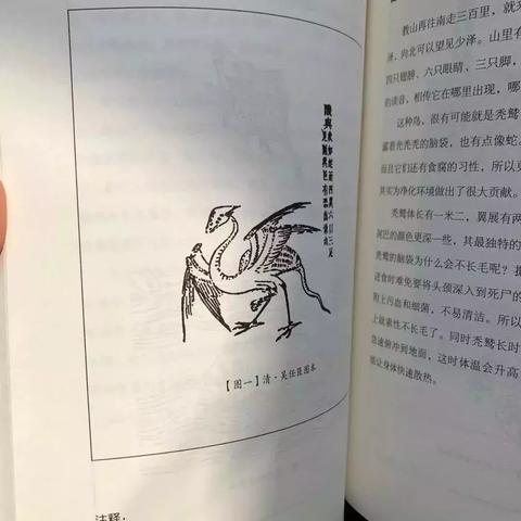 《山海经》手游评测:神话新解,颠覆传统? 《山海经》手游评测:神话新解,颠覆传统?