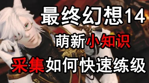 FF14演技教材疑问解法攻略,疑问动作速成！