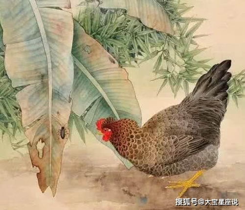 《黑夜降临,非肉鸽化演变:揭秘自然玩法之谜》