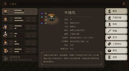 大江湖苍龙白鸟搭配攻略：长舟摆渡君子御冈解锁秘籍