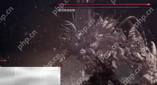 第一狂战士卡赞玛路卡攻略:高效打法解析 第一狂战士卡赞玛路卡攻略:高效打法解析