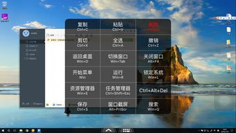 ff14远程玩法攻略:向日葵远程操作教程