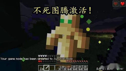 《Minecraft精选种子分享:专业玩家鉴定指南》