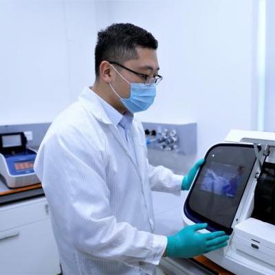 苏丹卡游戏消除技巧解析 苏丹卡高效消除攻略 苏丹卡游戏消除技巧解析 苏丹卡高效消除攻略