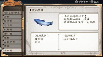 开放空间九级钓鱼收获指南,图鉴大全