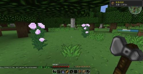 《Minecraft主城守护秘籍:掌握这些指令,轻松成为城池守护者!》 《Minecraft主城守护秘籍:掌握这些指令,轻松成为城池守护者!》