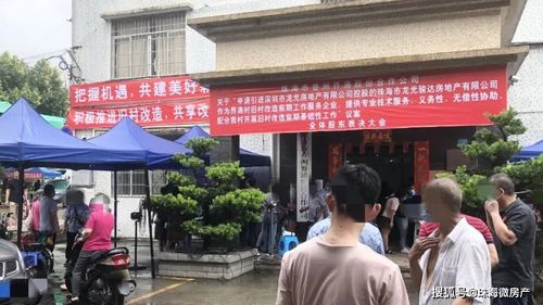 《轻松攻略！村马戏团任务玩法揭秘》