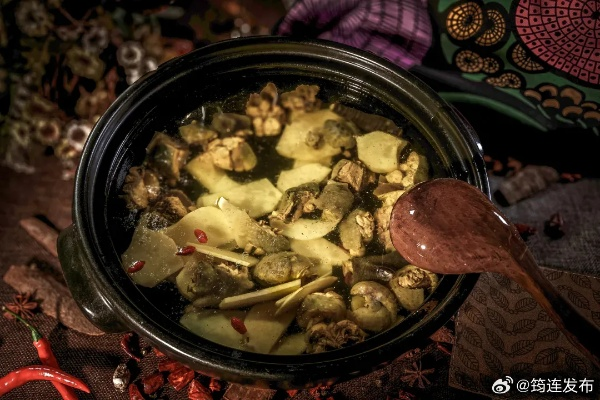 《苏丹秘境：草药炖大雁食谱大揭秘》