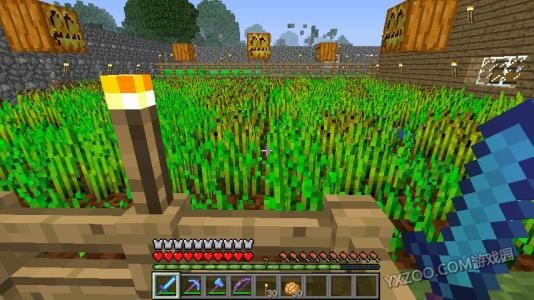 《Minecraft金胡萝卜合成攻略：快速获取方法揭秘》