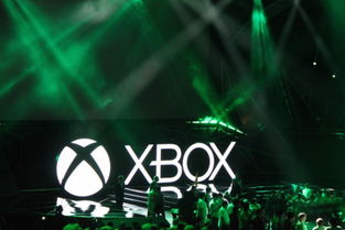 下一代Xbox性能巅峰：近半玩家翘首以盼！