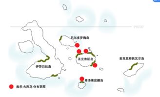 奇蛋生物水岛布局攻略：揭秘水岛布局技巧