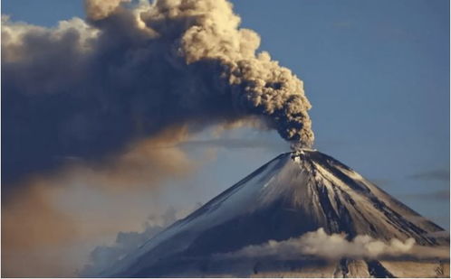 《帕鲁火山之麓资源大揭秘：前期资源攻略全解析》