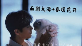 原神妙香林阿嘟寻踪记:周游壶灵位置揭秘 原神妙香林阿嘟寻踪记:周游壶灵位置揭秘